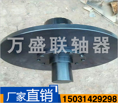 WGZ 型—帶制動(dòng)輪鼓形齒式聯(lián)軸器